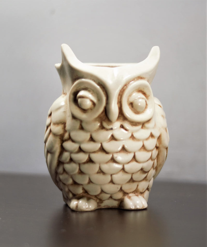 Inara Creation Owl Ashtray Smoking for Home, Office and Bar (Beige)