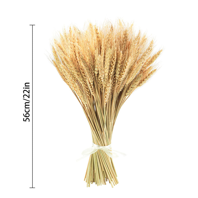 Uieke 17.7 Inches Dried Wheat Stalks, 100 Stems Dried Flowers 100% Natural Wheat for Home Kitchen Wedding Party Table Centerpiece Harvest Wreath Boho Farmhouse DIY Decoration