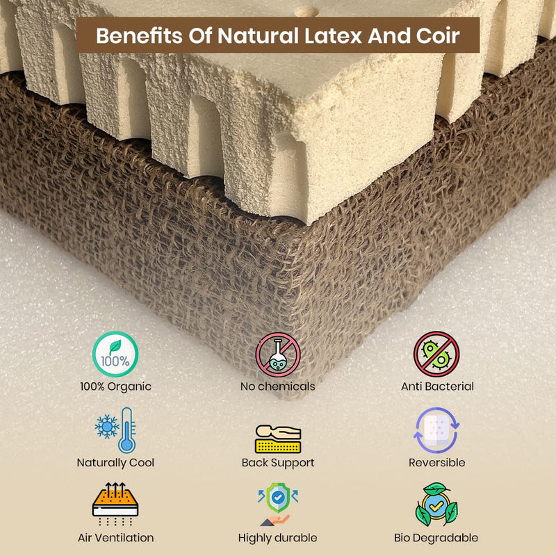 COZY COIR - 100% Natural Latex Coir Mattress (Soft & Hard) 75x60x5