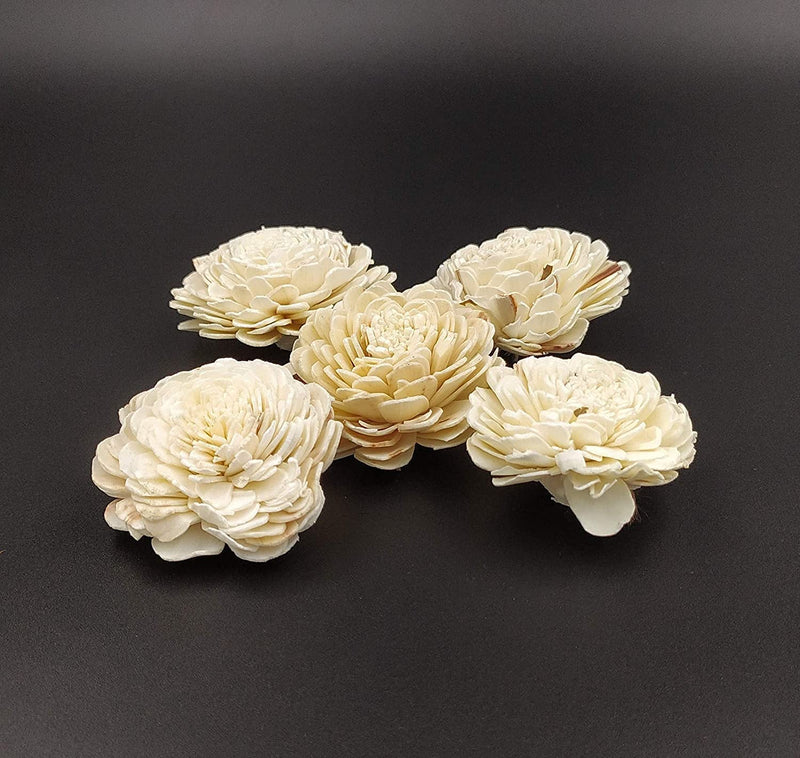 CRAFTWAFT Handmade Natural White Loose Solapit Small Flower for Craft & Decorations 1 Inch Diameter (500)