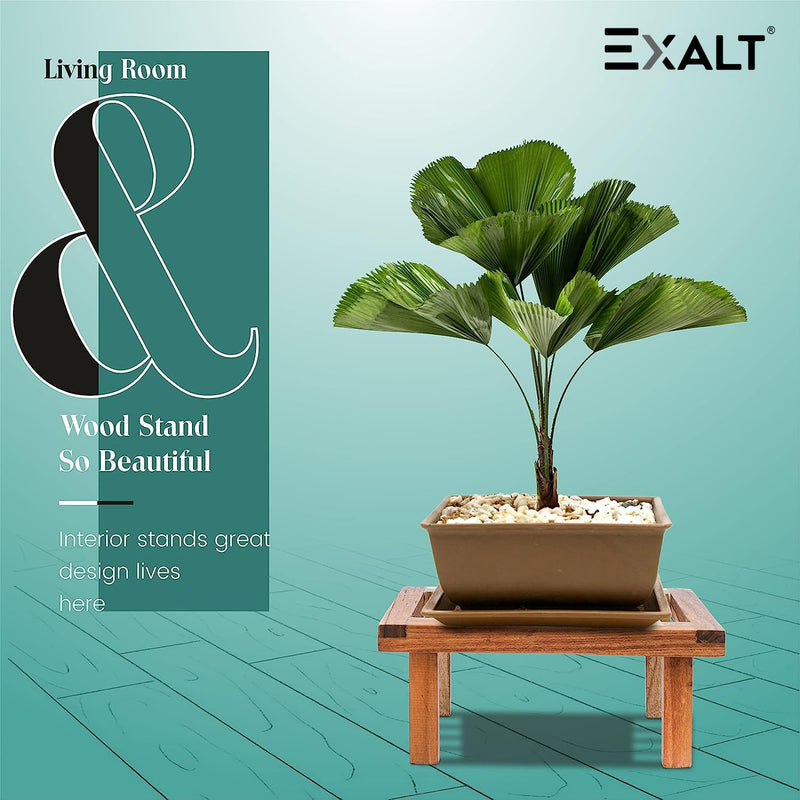 EXALT® Wooden Plant Stand Flower Pot Stand for Balcony Living Room Indoor Planter Decoration (Pack of 2)