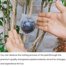 Rooting Balls  Pack of 5 with Pot Mix Combo