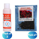 Plant Growth Pack of 2 and Elegant Climbing Rose Flower Seeds Pack of 1