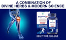 Nutrijuven I BH Bone Health I Combination of Divine Herbs & Modern Science I Glucosamine I Chondroitin & MSN  I Relieves Pain I Inflammation I Speed up joint Recovery I Enhances joint Flexibility I 60+ (30 Tablets Free)