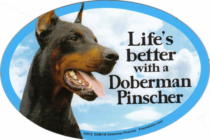 Doberman Pinscher Oval Dog Magnet for Cars