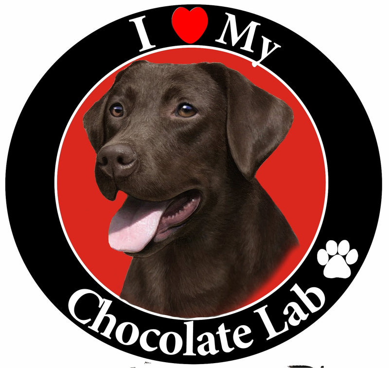 "I Love My Chocolate Lab" Car Magnet With Realistic Looking Chocolate Lab Photograph In The Center Covered In UV Gloss For Weather and Fading Protection Circle Shaped Magnet Measures 5.25 Inches Diameter