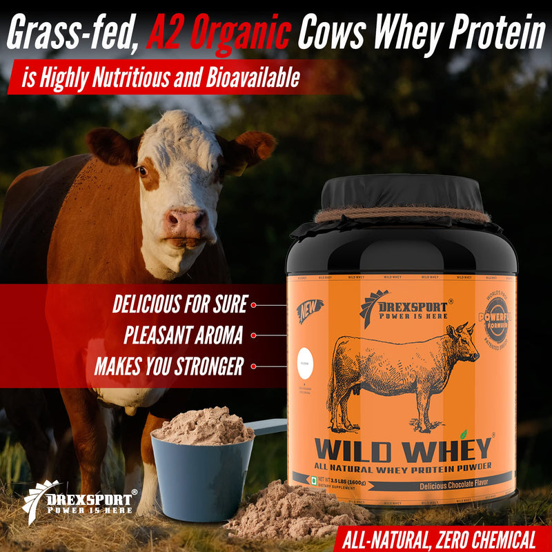 DREXSPORT Wild Whey Protein Powder for Men and Women, Organic Whey Protein Isolate Blend Based on Grass-fed Cow’s Whole A2 Milk (Patented) 800G