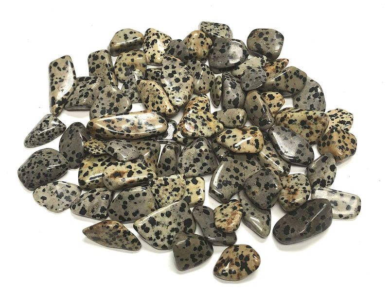 Zentron Crystal Collection: 1 lb Tumbled Dalmation Jasper in Velvet Bag