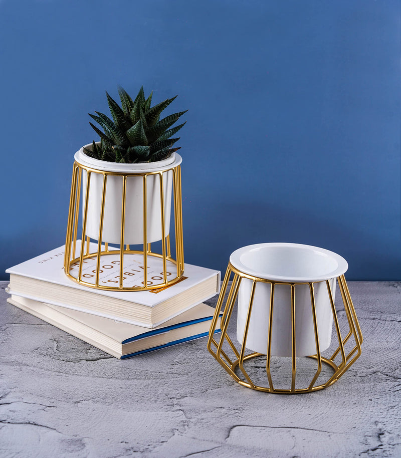 Nurturing Green® Combo of 2 Metallic Gold Metal Stand with Planters | Small Pots for Home (with 4.5 Inch Conical & Diamond Shape Stand)