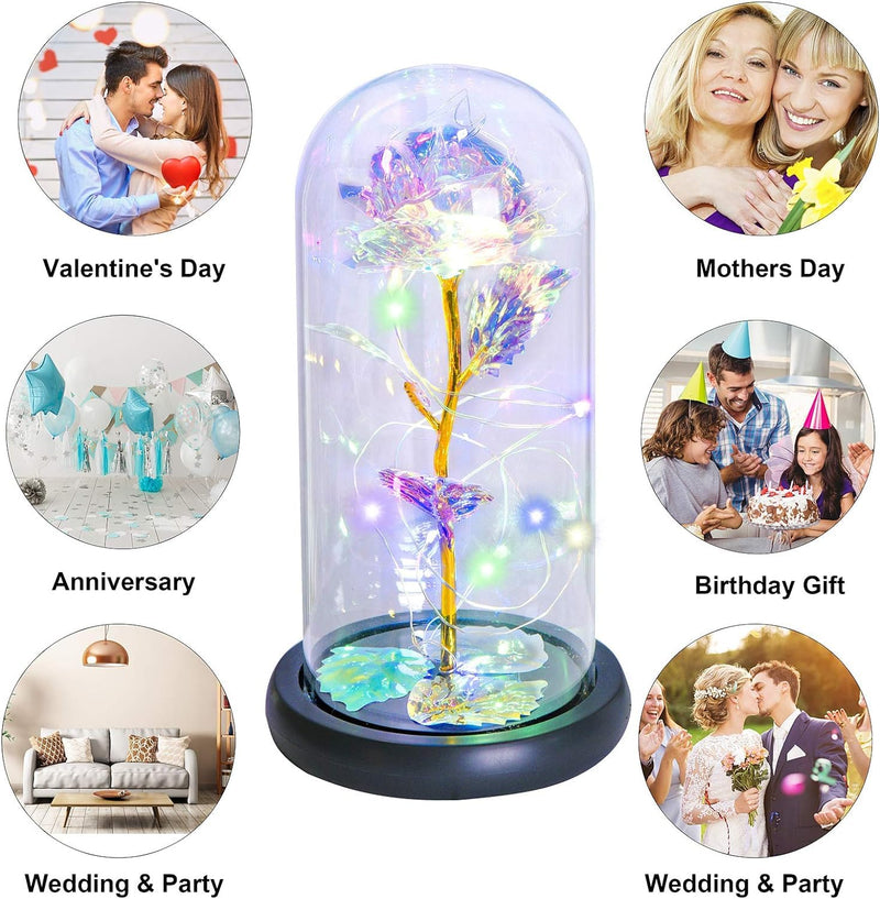 Whitecloud TRANSFORMING HOMES Romantic Rose Light in Glass Dome Unique Gifts for Mom, Wife, Daughter, and Women on Mother's Day, Birthdays, and Valentines (RDL-189) (1)