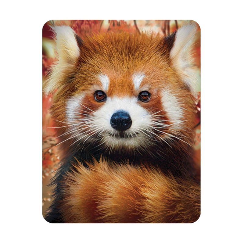 3D LiveLife Magnet - Baby Red Panda from Deluxebase. Lenticular 3D Animal Fridge Magnet. Magnetic Decor for Kids and Adults with Artwork Licensed from Renowned Artist, David Penfound