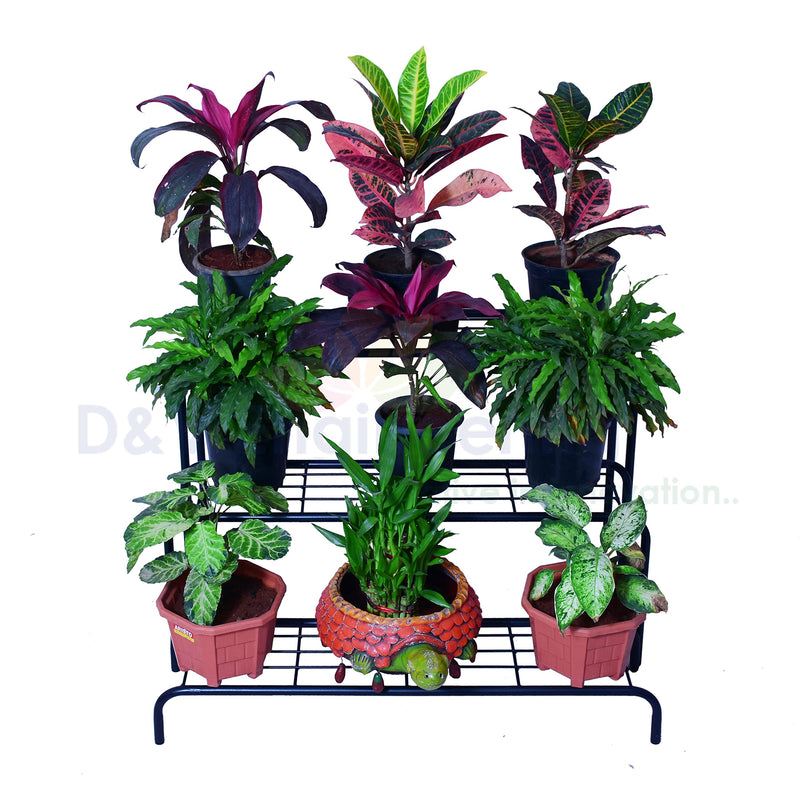 D&V ENGINEERING - Creative in innovation Metal indoor Outdoor Planter Stand, Flower Pot Rack for Home garden balcony- Black (3 Tier)