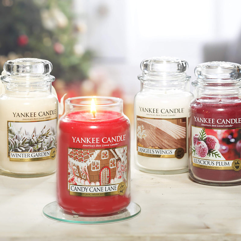 Large , Angel's Wings : Yankee Candle Angel's Wings Jar Candle - Large