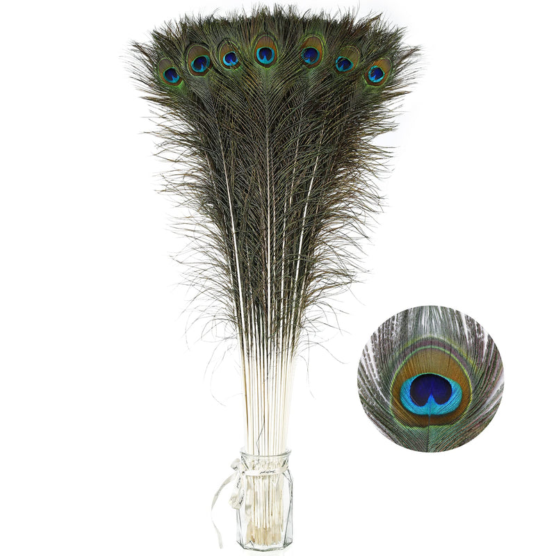 Soarer Long Peacock Feathers Bulk- 25pcs 32-35 inches Feathers for Vase, Holiday Decoration and DIY Crafts