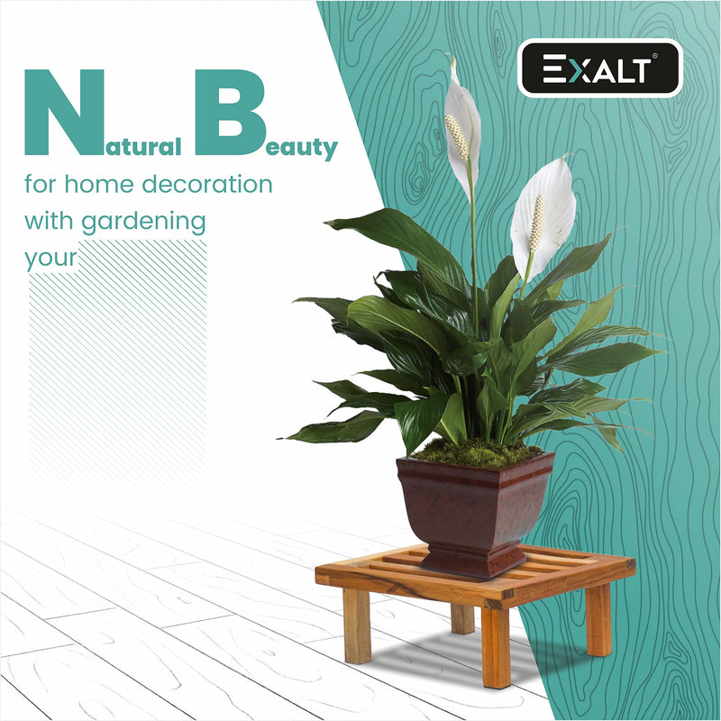 EXALT® Wooden Plant Stand Flower Pot Stand for Balcony Living Room Indoor Planter Decoration (Pack of 2)