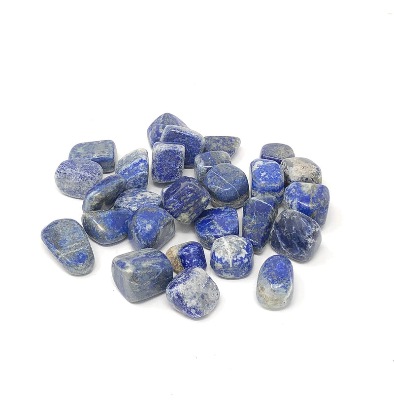 Shreyshti Lapis Lazuli Tumbled Stones 100gm