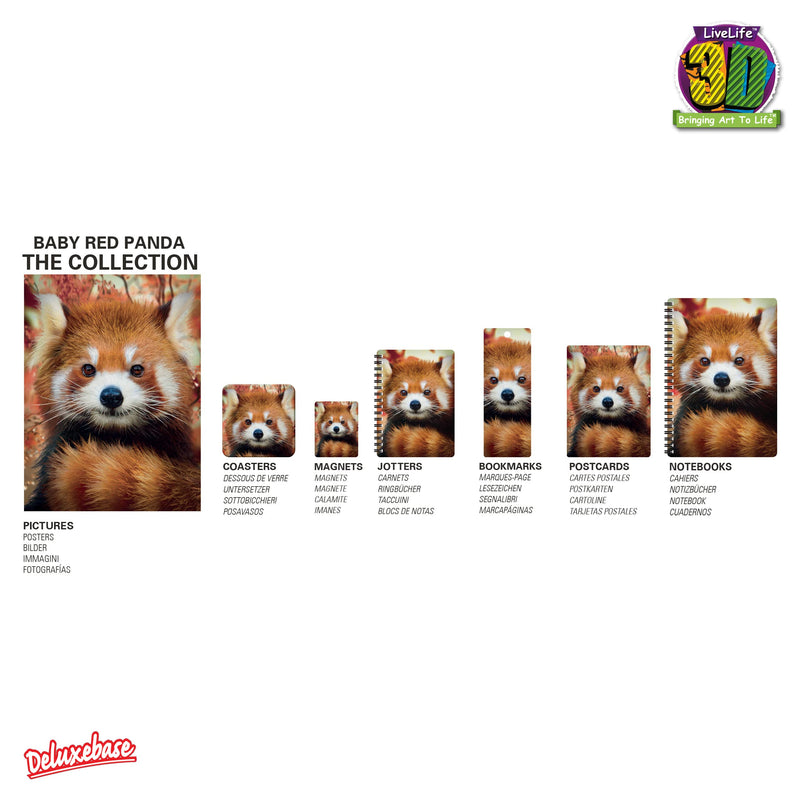 3D LiveLife Magnet - Baby Red Panda from Deluxebase. Lenticular 3D Animal Fridge Magnet. Magnetic Decor for Kids and Adults with Artwork Licensed from Renowned Artist, David Penfound