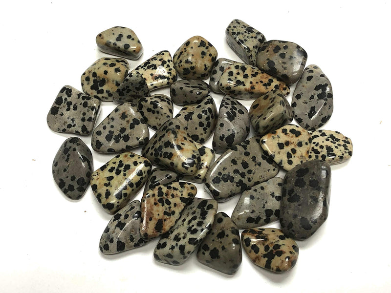 Zentron Crystal Collection: 1 lb Tumbled Dalmation Jasper in Velvet Bag