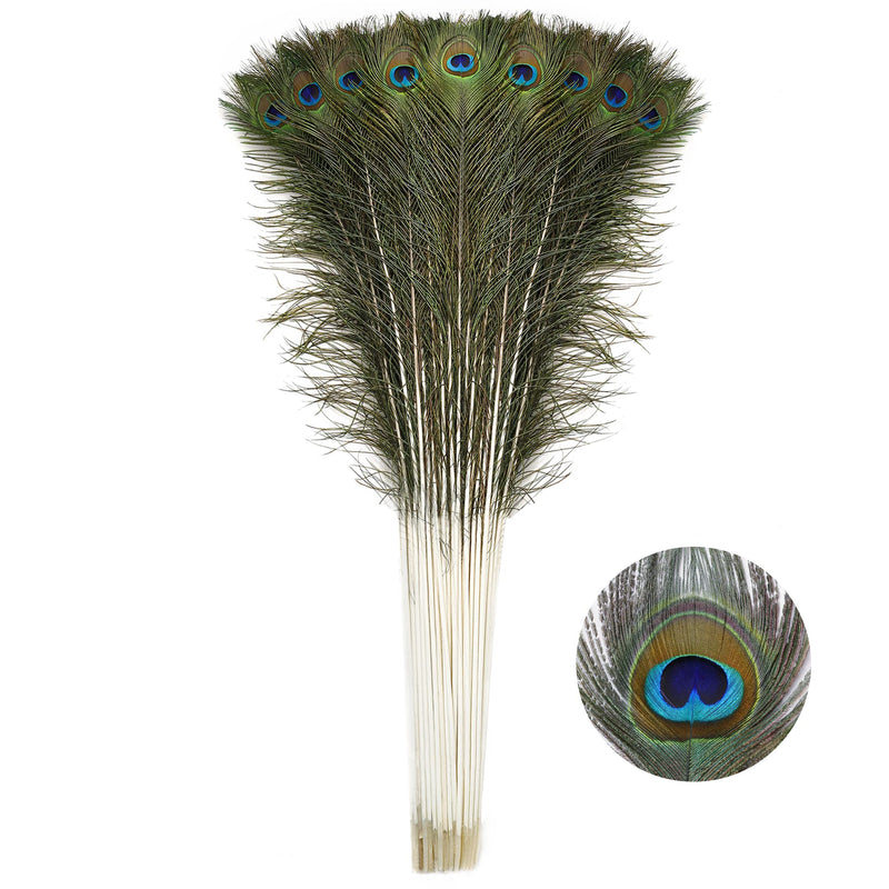 Soarer Long Peacock Feathers Bulk- 25pcs 32-35 inches Feathers for Vase, Holiday Decoration and DIY Crafts