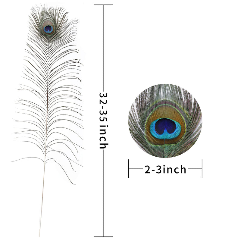 Soarer Long Peacock Feathers Bulk- 25pcs 32-35 inches Feathers for Vase, Holiday Decoration and DIY Crafts