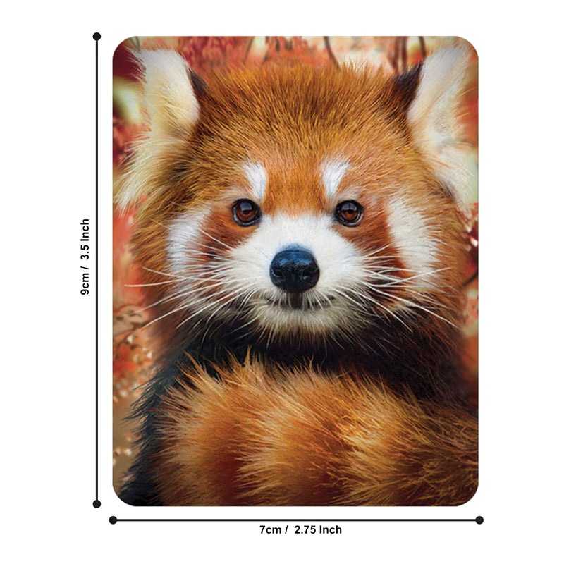 3D LiveLife Magnet - Baby Red Panda from Deluxebase. Lenticular 3D Animal Fridge Magnet. Magnetic Decor for Kids and Adults with Artwork Licensed from Renowned Artist, David Penfound