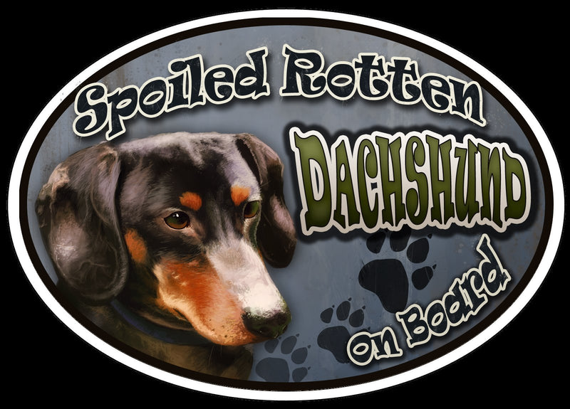 Dachshund - Spoiled Rotten Oval Dog Magnet for Cars