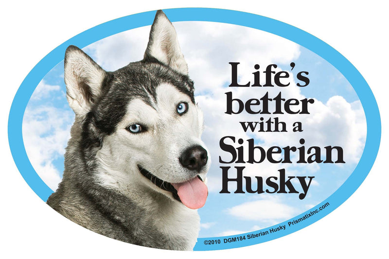 Cat & Dog Magnets-Siberian Husky