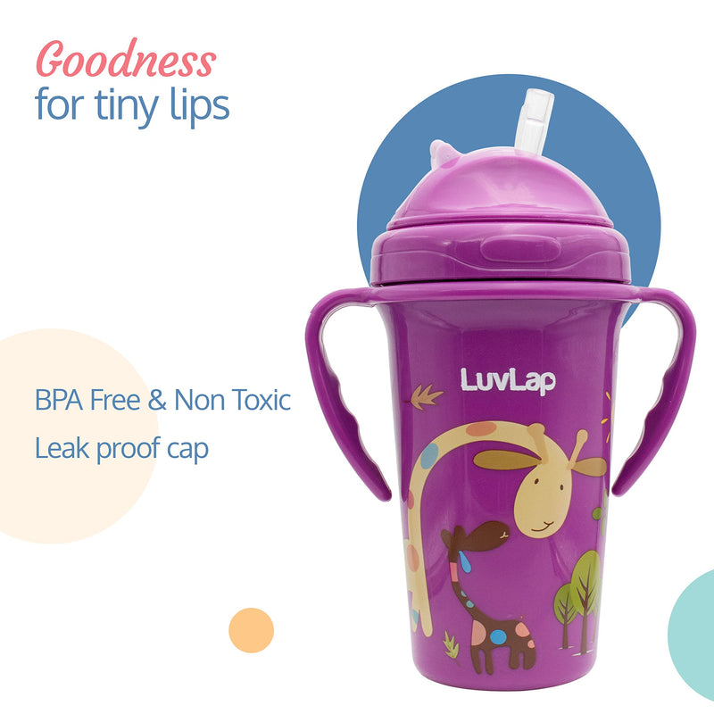 LuvLap Tiny Giffy Sippy Cup, Silicone Straw, BPA Free, 300 ml 18m+ (Purple)