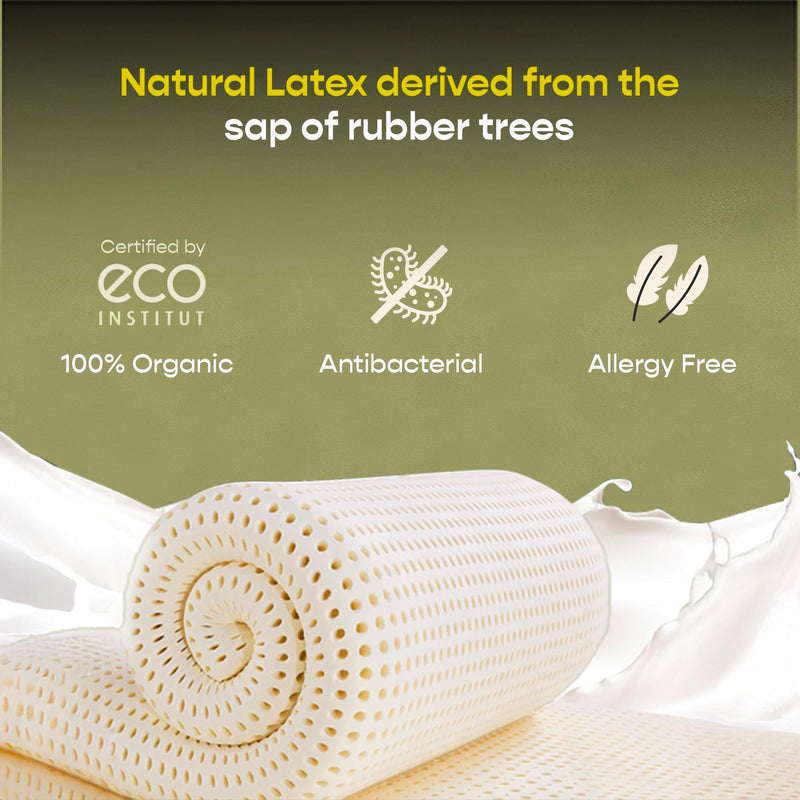 SleepyCat Ultima Natural Latex Mattress - Medium Soft | eco-INSTITUT Certified - 100% Organic Latex | Washable Zipper Cover | Single Bed Mattress (Single Size, 72x30x8 Inches)