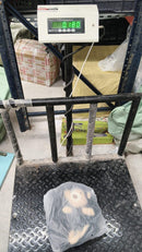 Cute Shoulder Bag Kawaii Tote Handbag with Cute Teddy Bear