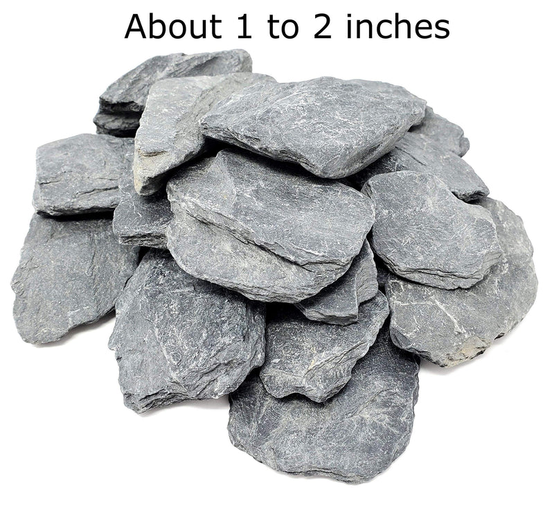 Capcouriers Slate Stones (Slate Rocks) - Flat Rocks - Natural Slate Rocks - 2 to 3 inches - About 14 to 17 Rocks (Stones are Dusty)