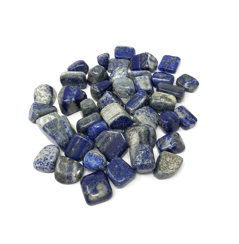 Shreyshti Lapis Lazuli Tumbled Stones 100gm