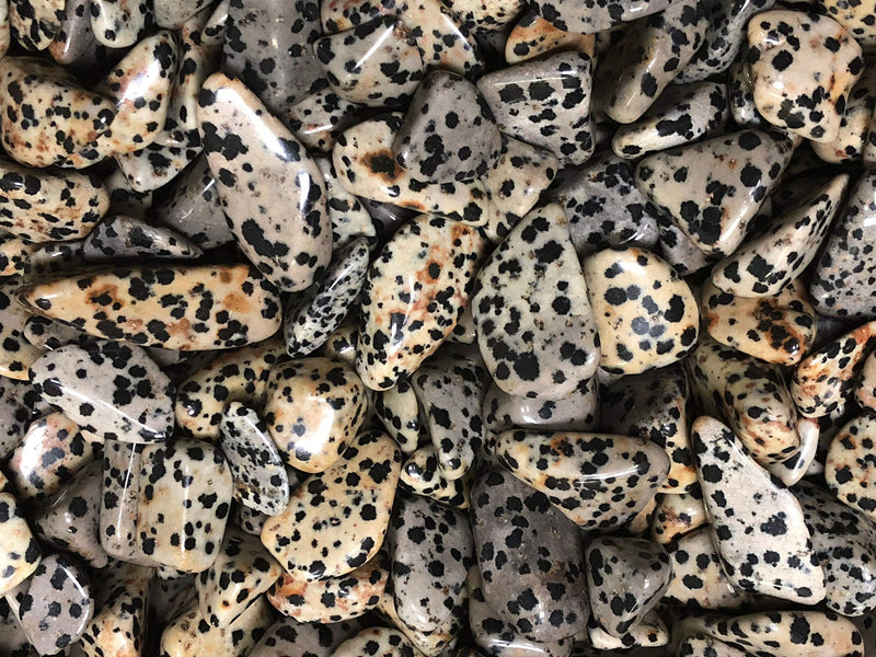 Zentron Crystal Collection: 1 lb Tumbled Dalmation Jasper in Velvet Bag