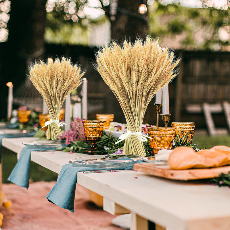 Uieke 17.7 Inches Dried Wheat Stalks, 100 Stems Dried Flowers 100% Natural Wheat for Home Kitchen Wedding Party Table Centerpiece Harvest Wreath Boho Farmhouse DIY Decoration