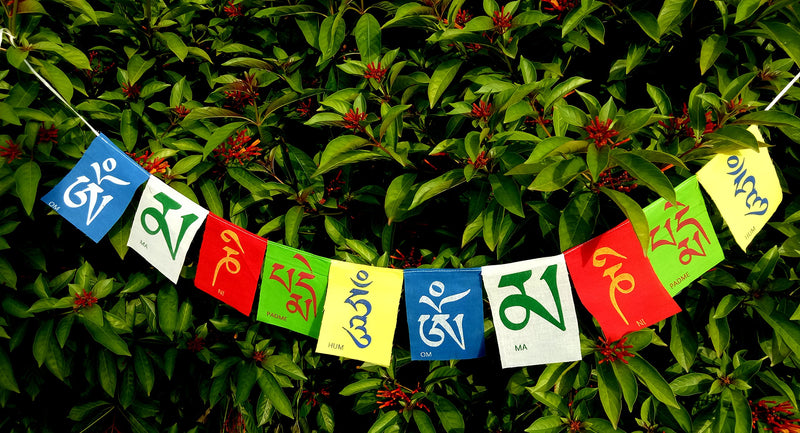 Province of Love Cotton Tibetan Buddhist Prayer Flag (Multicolour)