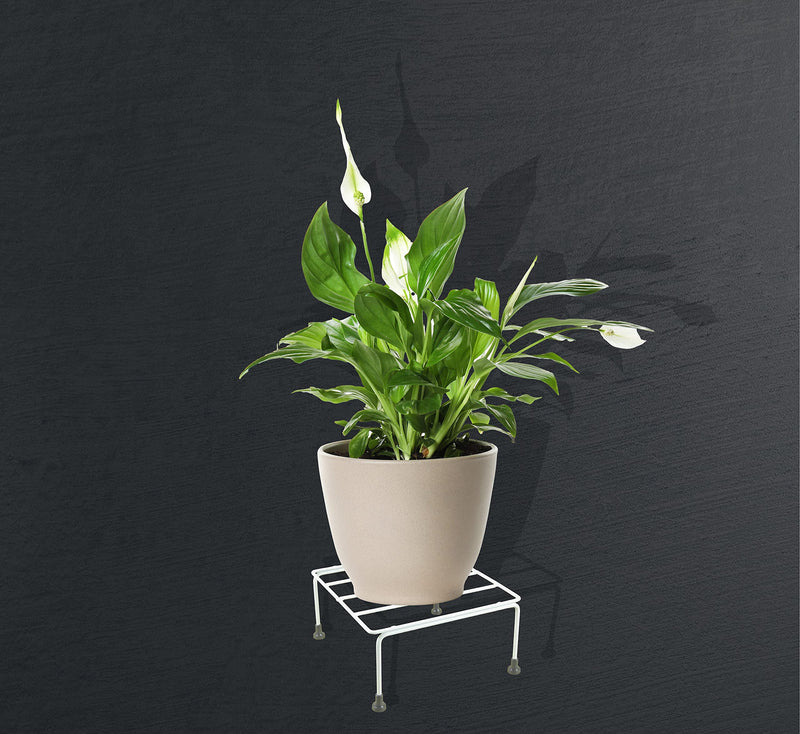 ORCHID ENGINEERS Metal Square Plant Stand Flower Pot Stand, Size: Width-21cm, Height-12cm (Pack of -8) Black (White, Pack of 4)