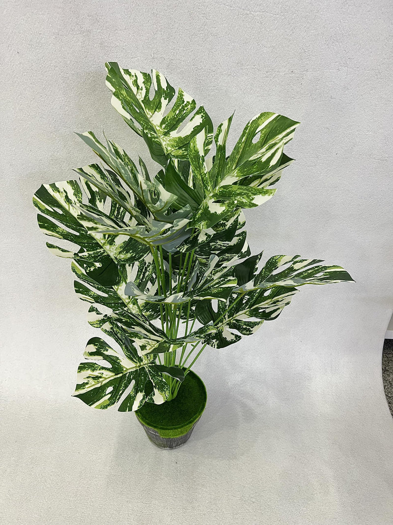 Aatwik Turtle Back Leaf Faux Green and White Plant Home Decor 18 Leaves 70 cm| Artificial plant | Home Decor Plant