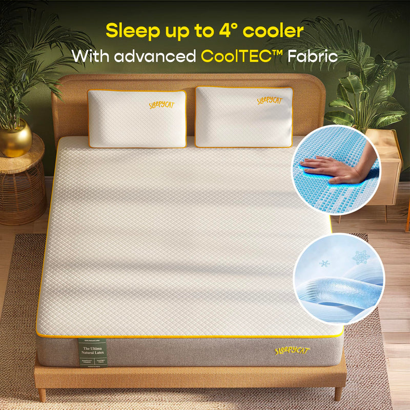 SleepyCat Ultima Natural Latex Mattress - Medium Soft | eco-INSTITUT Certified - 100% Organic Latex | Washable Zipper Cover | Single Bed Mattress (Single Size, 72x30x8 Inches)