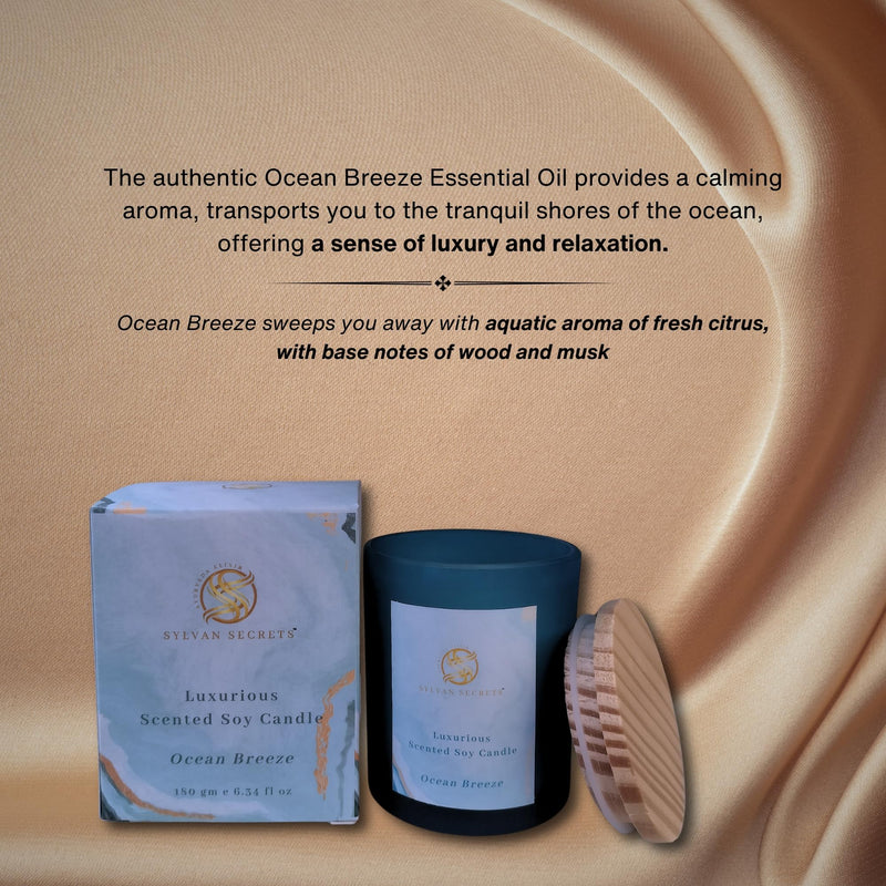 Sylvan Secrets Luxurious Scented Soy Candle Ocean Breeze | Pure & Natural Oil & Fragrance | Invigorating Ocean Breeze Aroma 180 gm