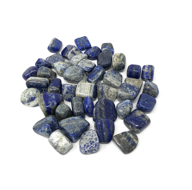 Shreyshti Lapis Lazuli Tumbled Stones 100gm