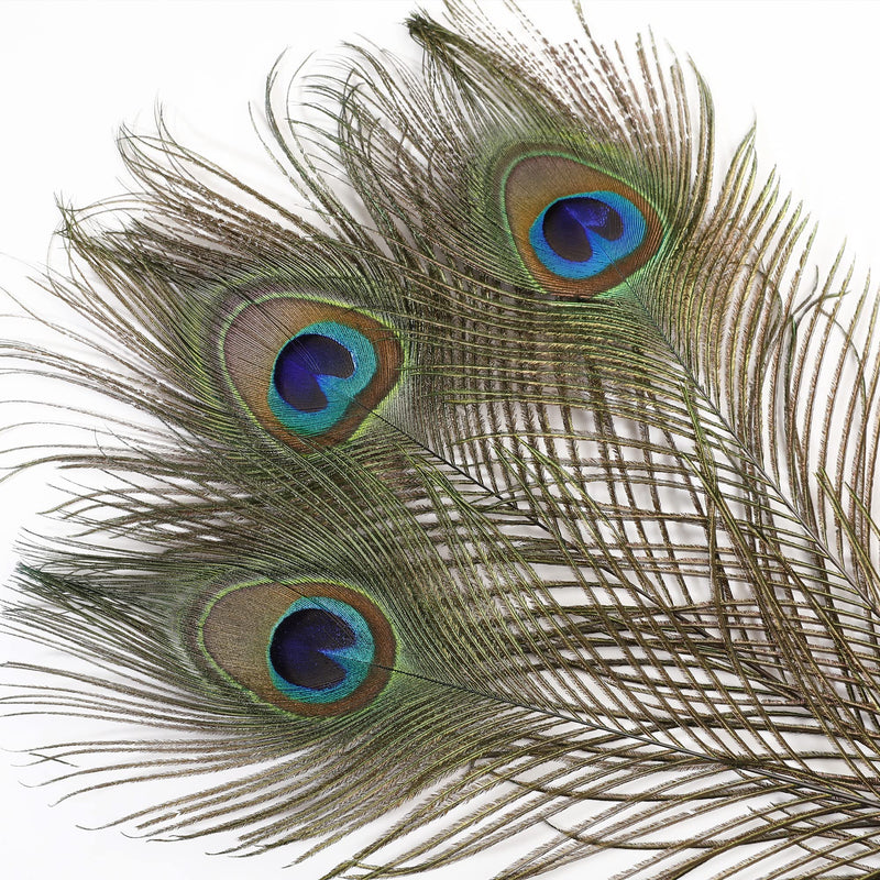 Soarer Long Peacock Feathers Bulk- 25pcs 32-35 inches Feathers for Vase, Holiday Decoration and DIY Crafts