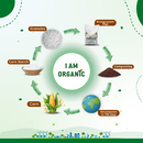 Biodegradable and Compostable D-cut Carry Bags 12x16(60pcs)