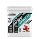 GetmyMettle Amino Ace Formulae