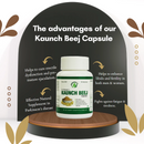 Dr.Bhargav’s I Kaunch beej Capsules | Fights fatigue I iredness| Hormone L-Dopa I Serotonins | Medha-D capsules I Fertility in bothmen I Nerve Tonic | Premature ejaculation | Dysfunction| 60 Capsules