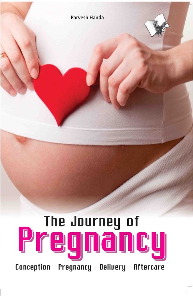 The Journey of Pregnancy