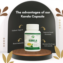 Dr.Bhargav’s I Karela capsules | Blood Sugar Level | Boost immunity | Diabetic Support | Sugar Gard Capsule | MaNAge insulin production  I Protection Naturally| 60 Capsules