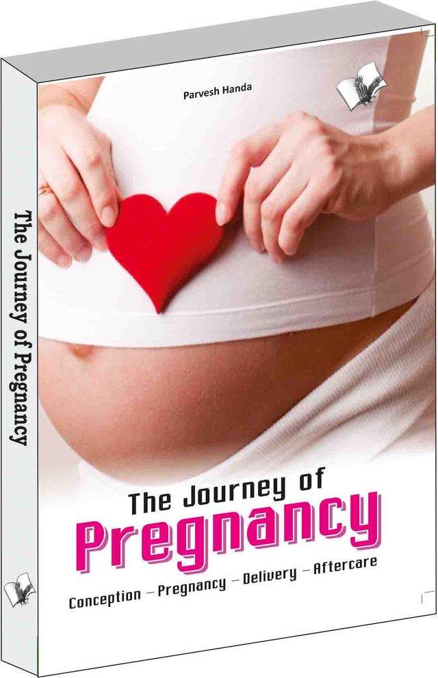 The Journey of Pregnancy