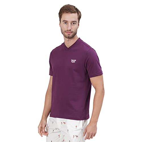 U.S. POLO ASSN. Men Comfort Fit V-Neck Cotton IYAS T-Shirt - Pack of 1 (Purple M)