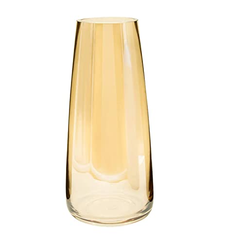 TIED RIBBONS Decorative Glass Vase for Flower Plants Home Decor Office Living Room Bedroom Table Top Decorations Items (Gold, 22.8 cm x 6.3 cm x 7.6 cm)