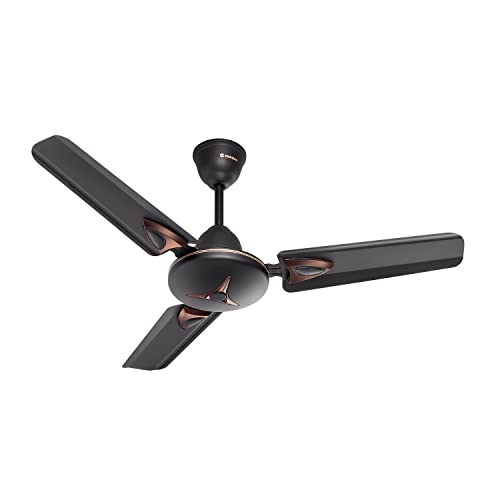 Candes Amaze 900mm /36 inch High Speed Anti-dust Decorative 5 Star Rated Ceiling Fan 440 RPM with 2 Years Warranty (Pack of 1, Coffee Brown)